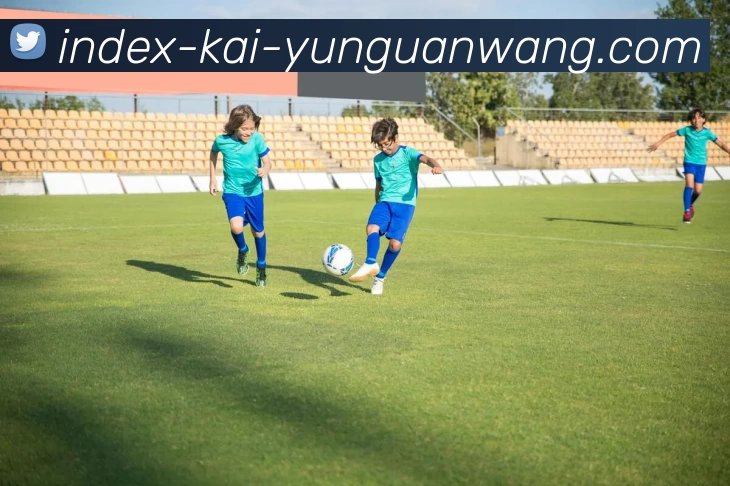 奖项证书